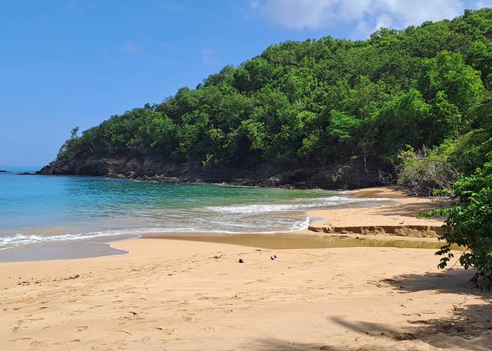 Plage de la perle - Deshaies - Guadeloupe