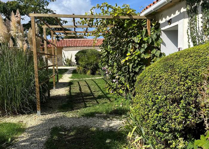 Pergola kiwis