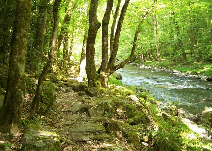 Panorama des Gorges de la Sioule en Auvergne-page