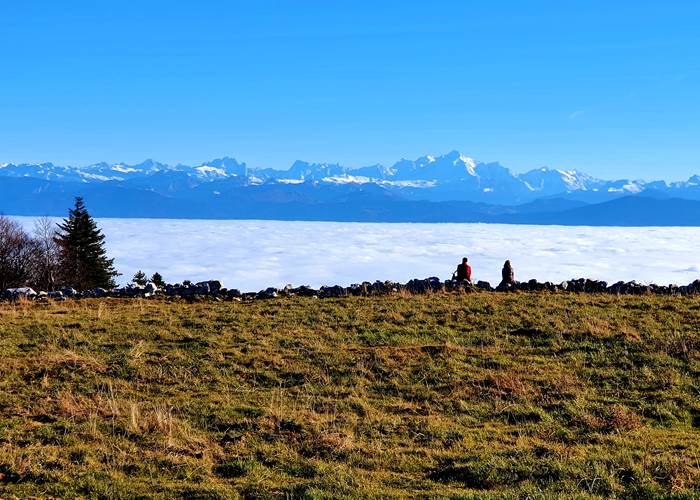 balade aux fruitieres de Nyon