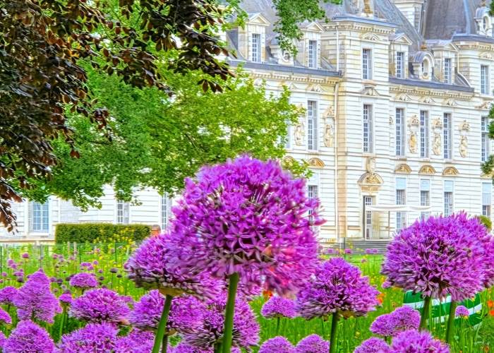 www.latalonniere.fr-Cheverny