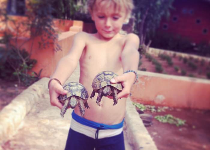 les tortues de Baoussala