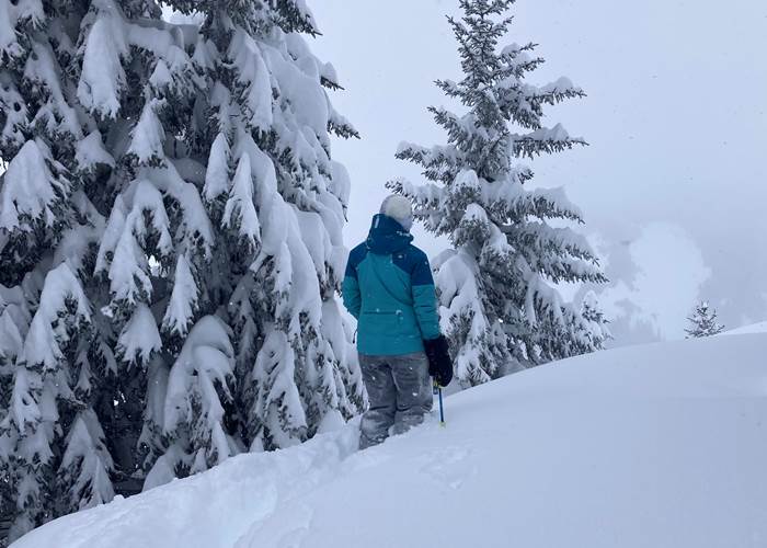 En poudreuse, vers le Plan dessert