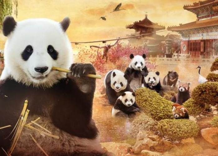 Le royaume du Milieu