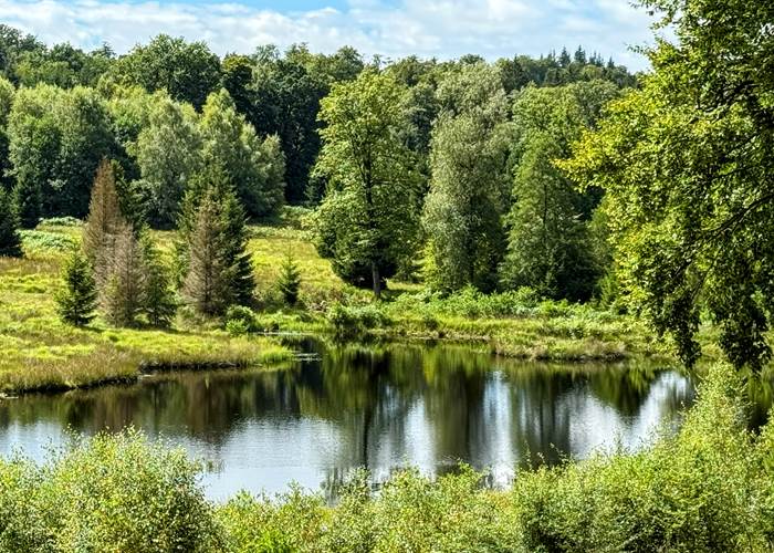 L'étang de la Bilaude