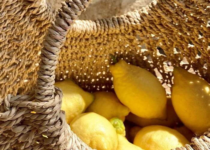Citrons du jardin