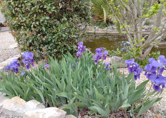 Le printemps est de retour