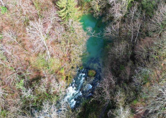 Source du Groin à 5mn du Manoir du Colombier