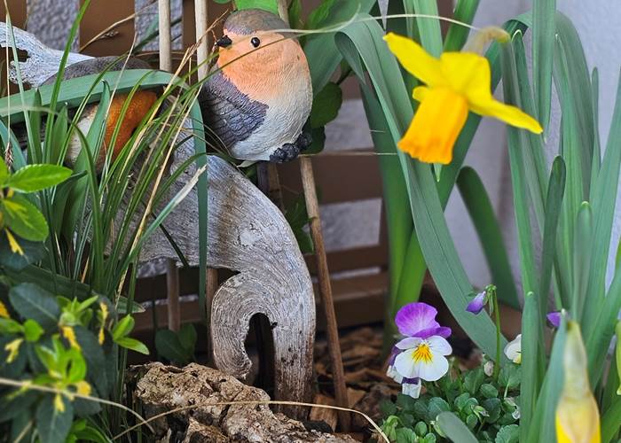 Le printemps est là !