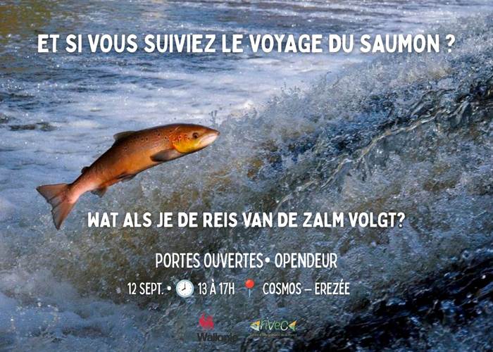 porte-ouverte-cosmos-espace-didactique-saumon-riveo-ardenne