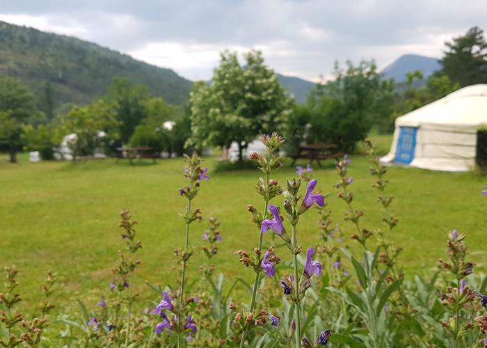 Camping, yourtes