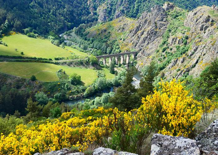 Vue sur les gorges de l'Allier