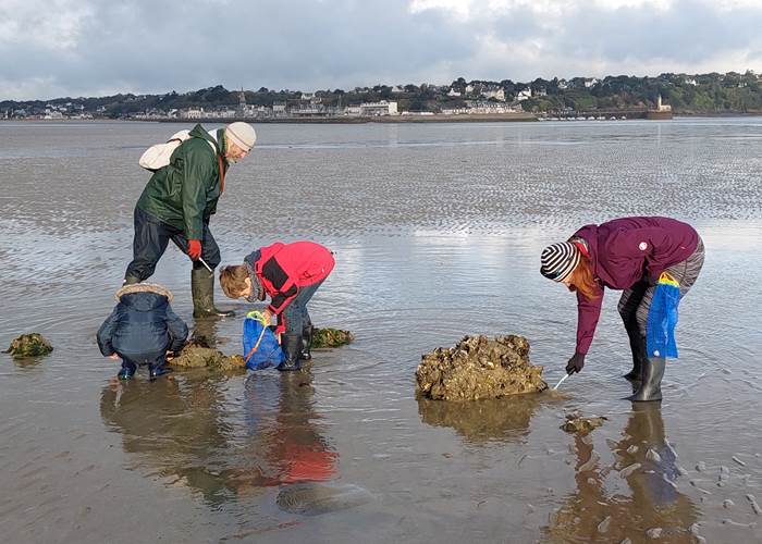 pêche à pied coques monsieur jean