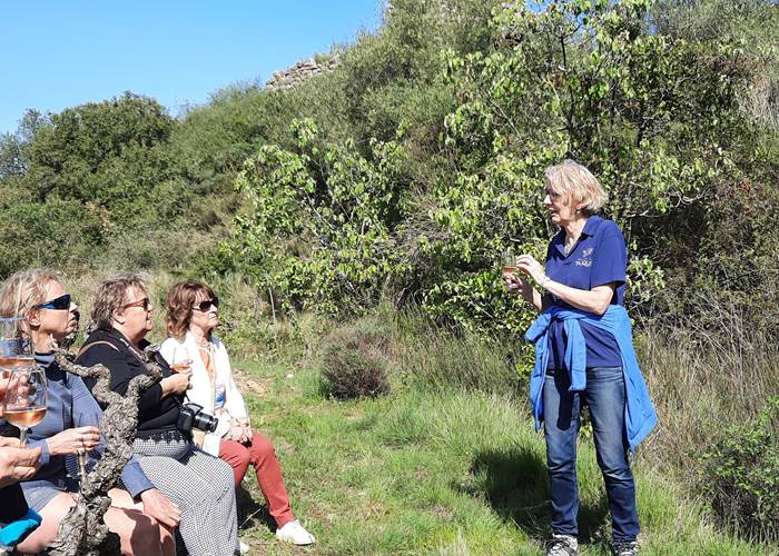 Dégustation au cœur des vignes