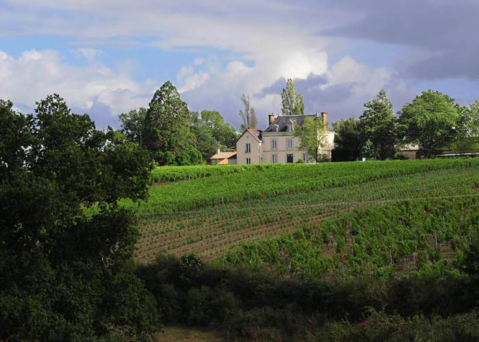 chateaudelaviaudiere-min