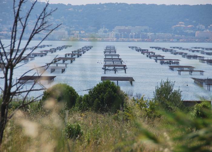 L'Etang de Thau-page