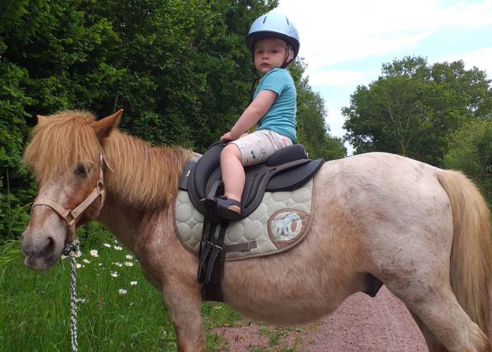 poney tenu en longe par les parents