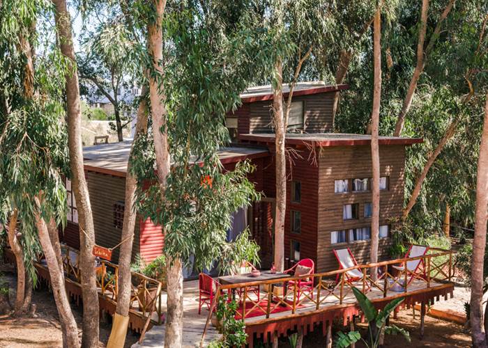 Suite Taabiha, véritable cabane dans les arbres...