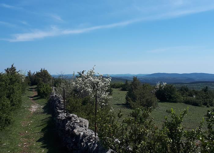 Sur le causse la vue peut être imprenable !