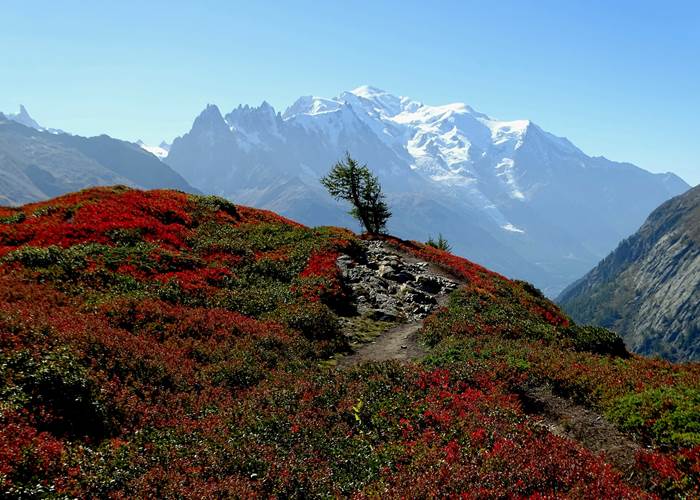 Chamonix Mont Blanc valley