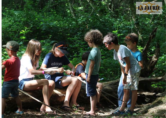 atelier petite groupe, bricolage dans les bois