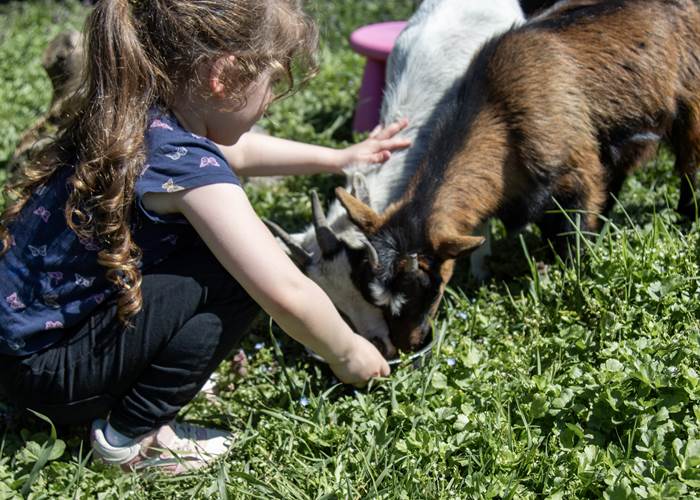 animaux-ferme-enfants-aveyron