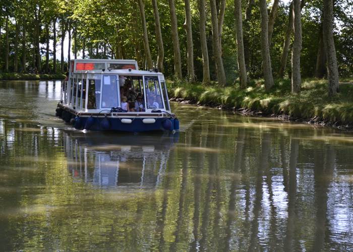 La saint-Roch Canal du Midi - Domaine de Lanis Chambres Hôtes Castelnaudary