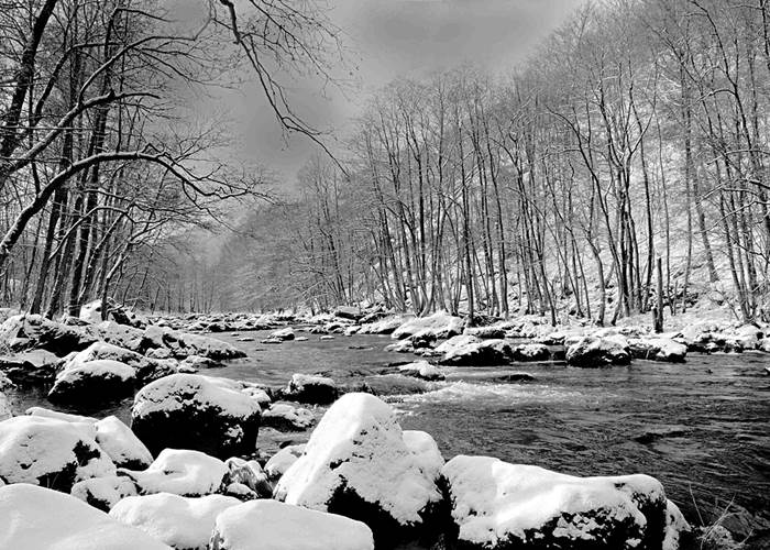 Fonds_de_Quarreux_-_07[2]