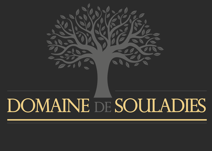 logo-domainedesouladies