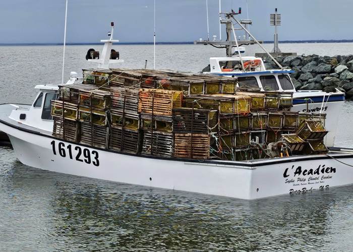 494289187_1865587547559863_3259340780391394049_n