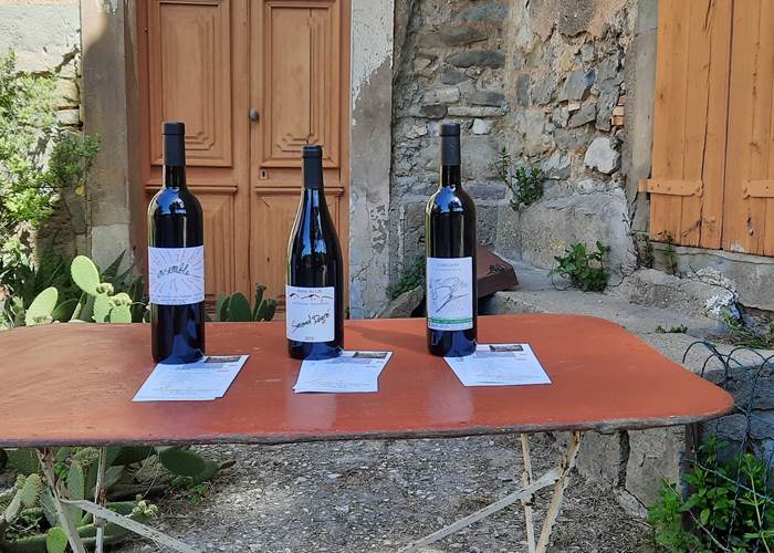 Dégustation des vins du Domaine Les Tuileries