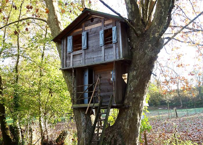 La cabane magique du grand platane