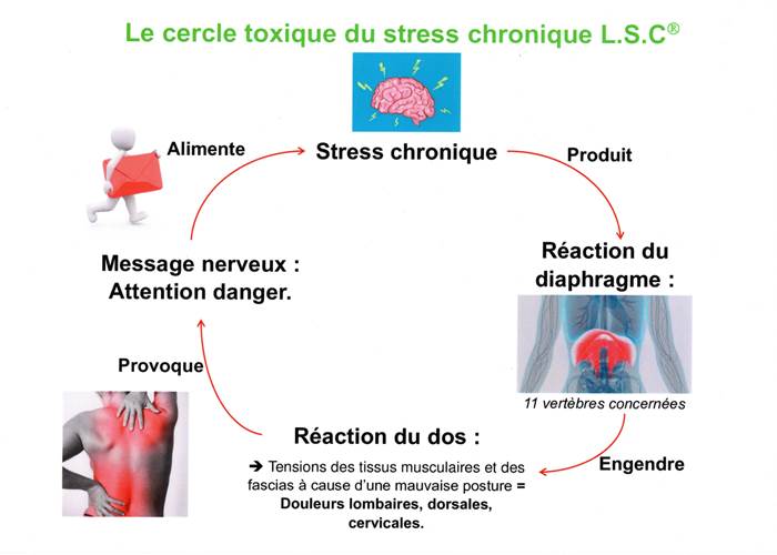 Shéma du cercle vicieux du stress chronique