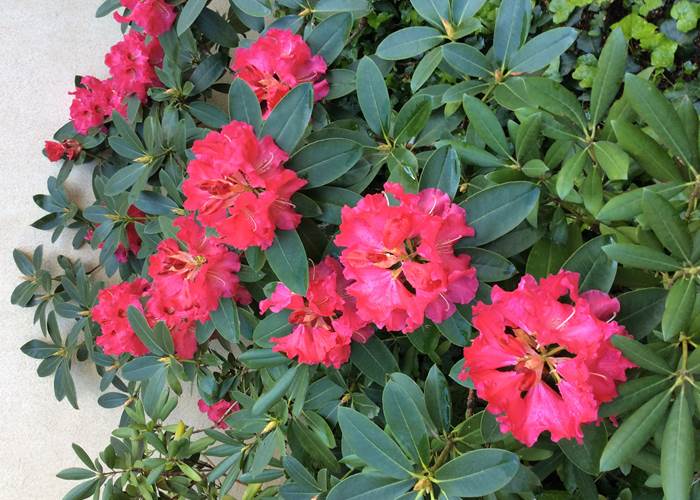 En Avril , la nature explose !