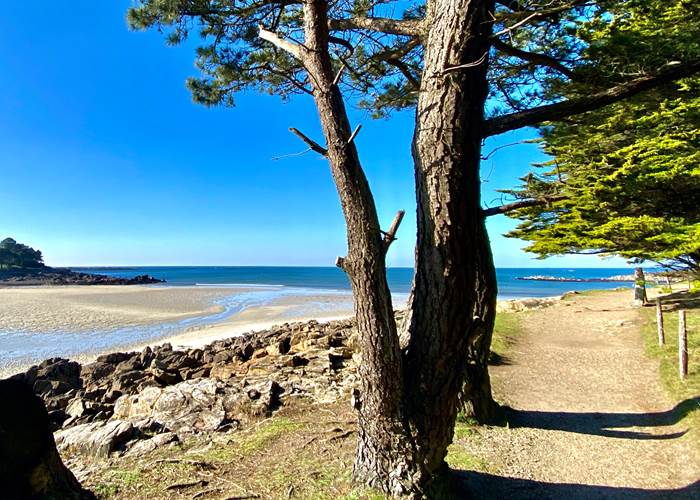 0EFB39FA-4D45-45B2-92B7-FE94F8211AB3