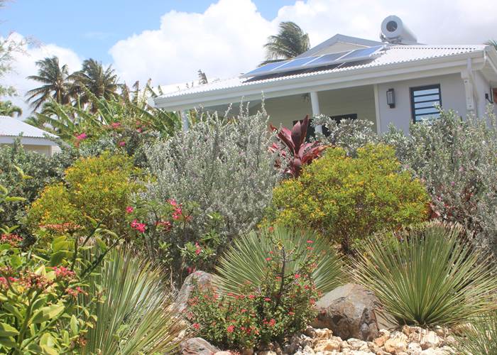 Iguane House villas & Micro Spa : le soleil fournit directement l'énergie pour la filtration des piscines et le chauffage de l'eau sanitaire...