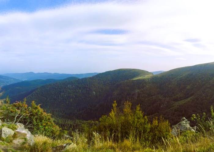 Parc naturel de Furfooz