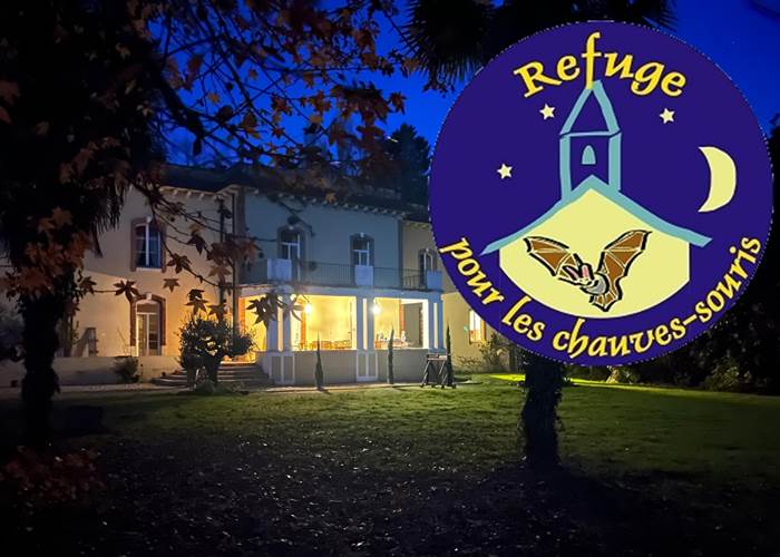 Refuge pour chauves-souris