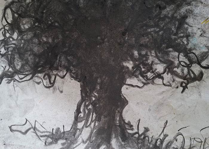 Sous l'arbre à palabres