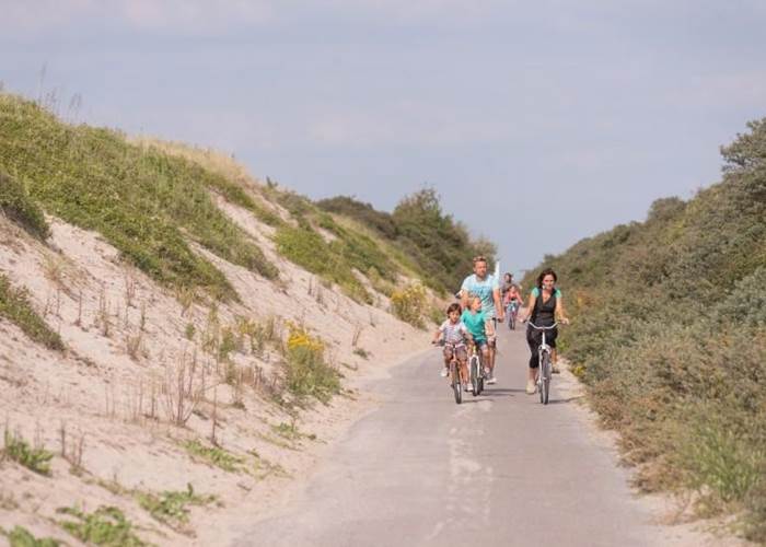 velos sur la  route blanche