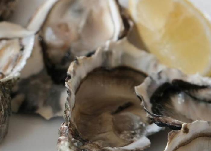 Les Huitres du Bassin d'Arcachon