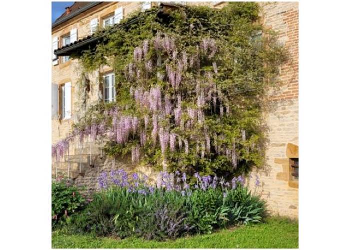 Le Logis d'Azé-page