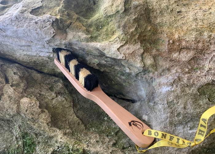 Bloasis brush gratoon bouldering Fontainebleau