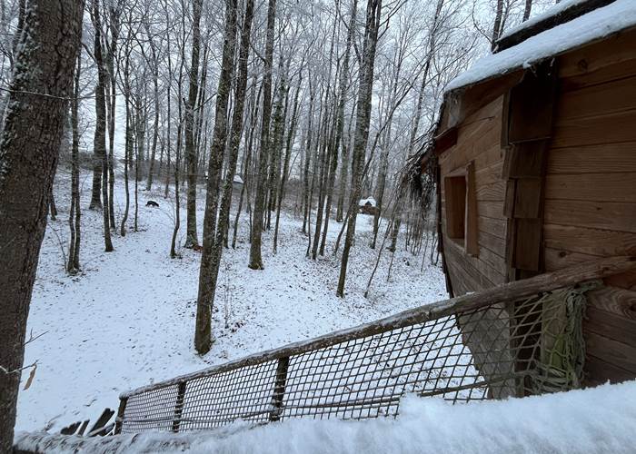 Cabane aux Fées