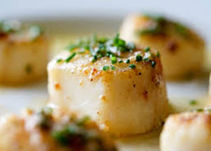 belles coquilles Saint Jacques
