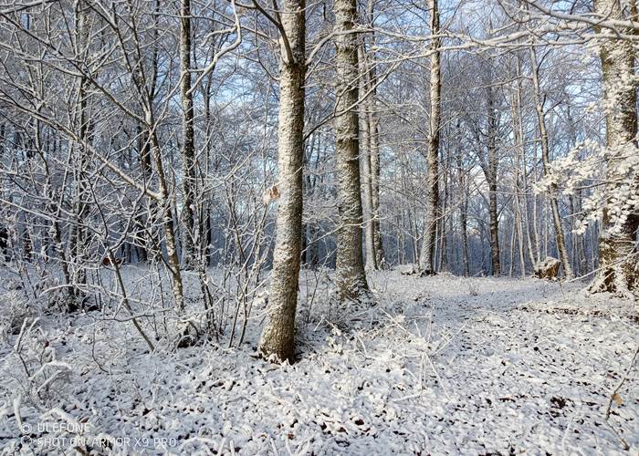 les bois de saint Auvent les bois-page