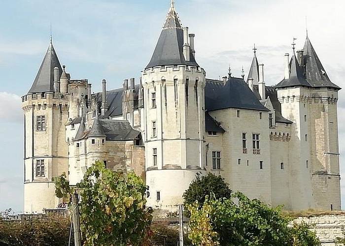 château de Saumur vue sur la Loire en Maine-et-Loire