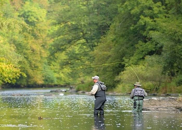 peche-mouche-belgique-©d-crickillon