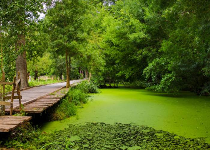 Marais Poitevin-Séjour Atypique-Belle demeure