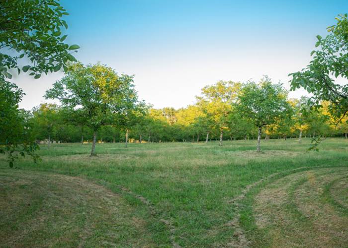 noyeraie bio INYAQAB